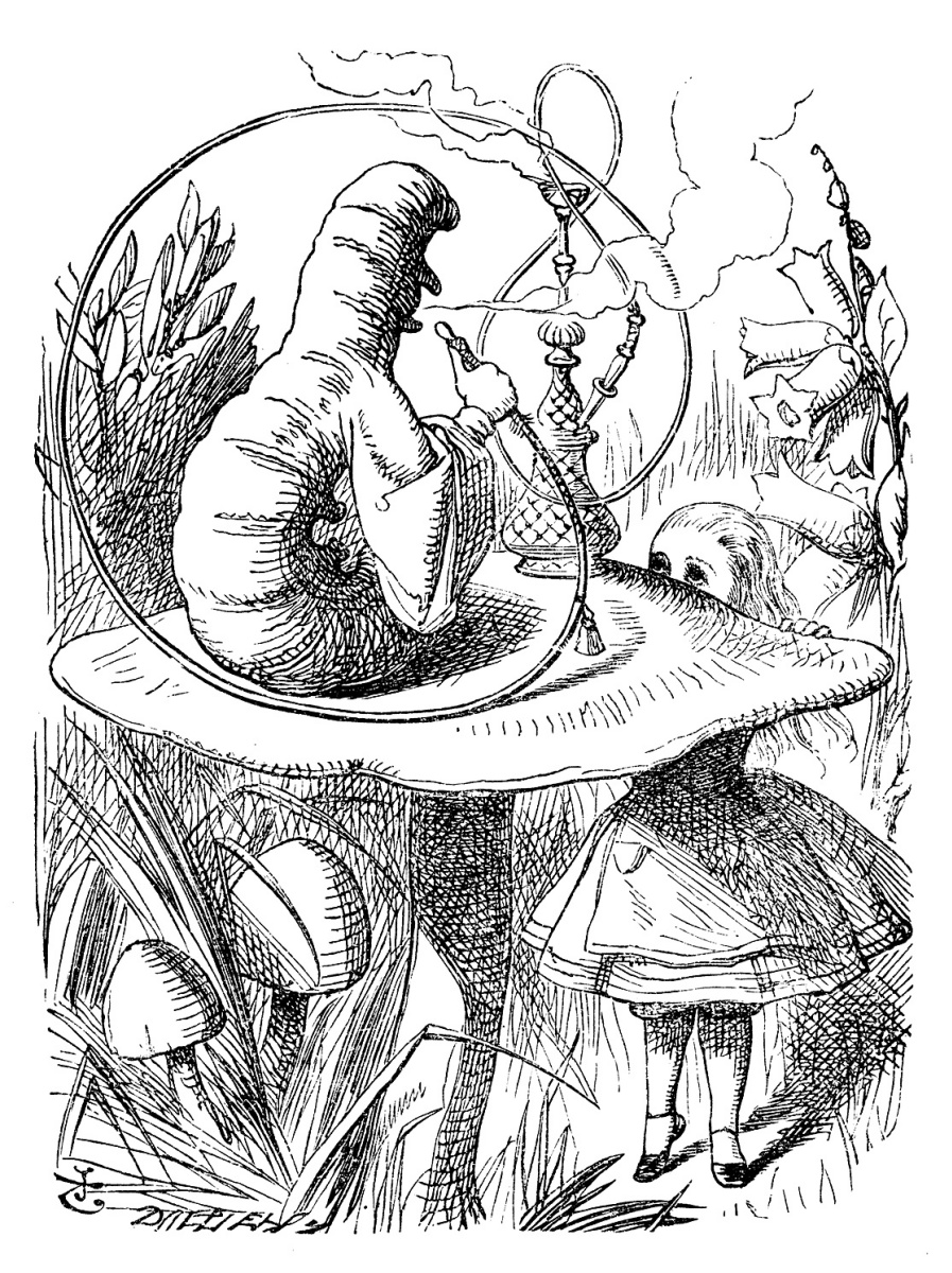Джон Тенниел Гусеница Алиса в стране чудес 1862 Описание