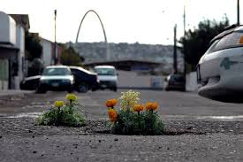 Shannon Spanhake Project on the streets of Tijuana, Mexico. 2005 Source