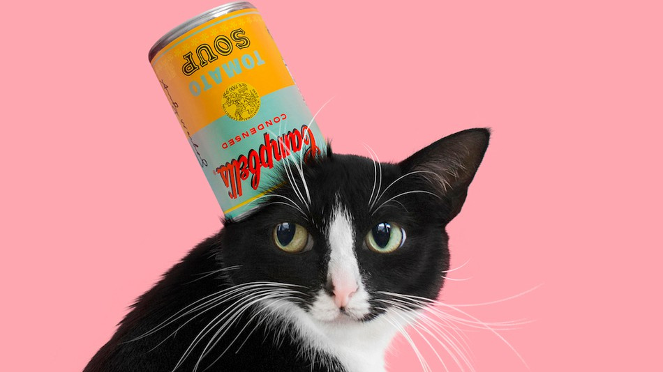 Котики правят миром: поверженный Трамп, пушистые суши и обаятельный дьявол на Cat Art Show