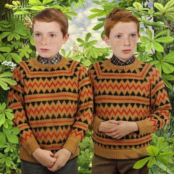 Коллаж работы Руд ван Эмпель (Ruud van Empel) Коллаж работы Руд ван Эмпель (Ruud van Empel)