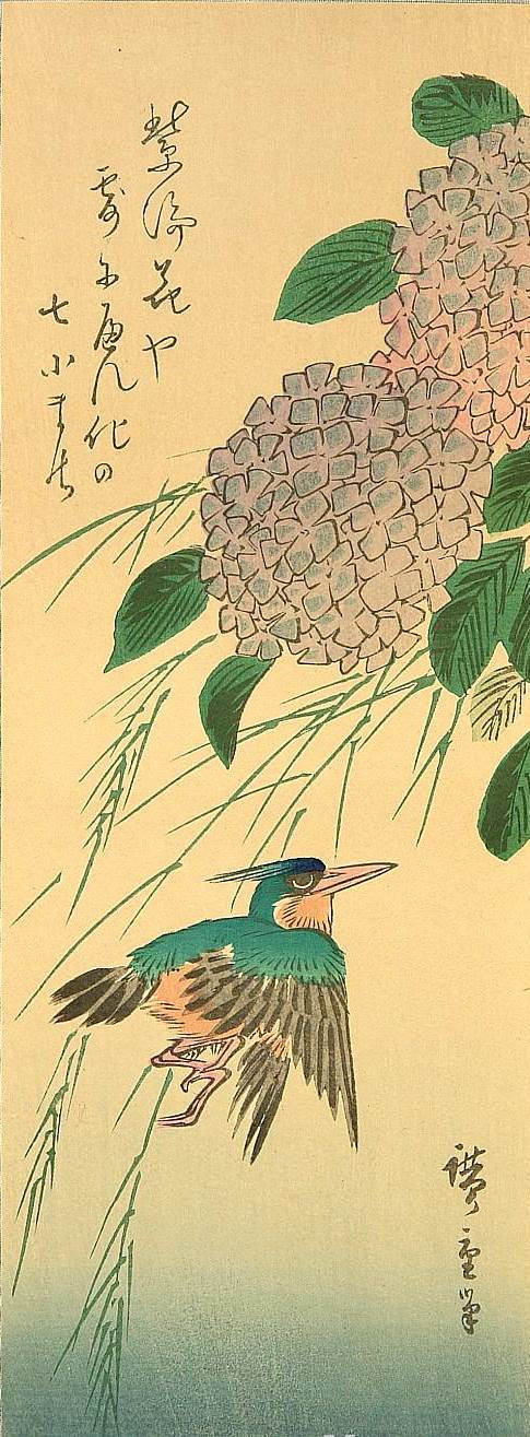 Utagawa Hiroshige. Kingfisher and hydrangea. Series "Birds and flowers"