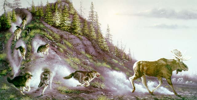 Donald Rust. The wolf hunt