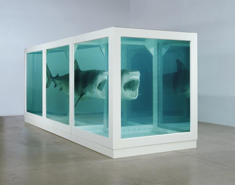 Damien Hirst L'impossibilité physique de la mort dans l'esprit des vivants, 1991, 542×217×180 cm 