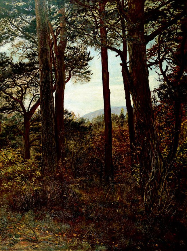 John Everett Millais. Ate in the Scottish woods