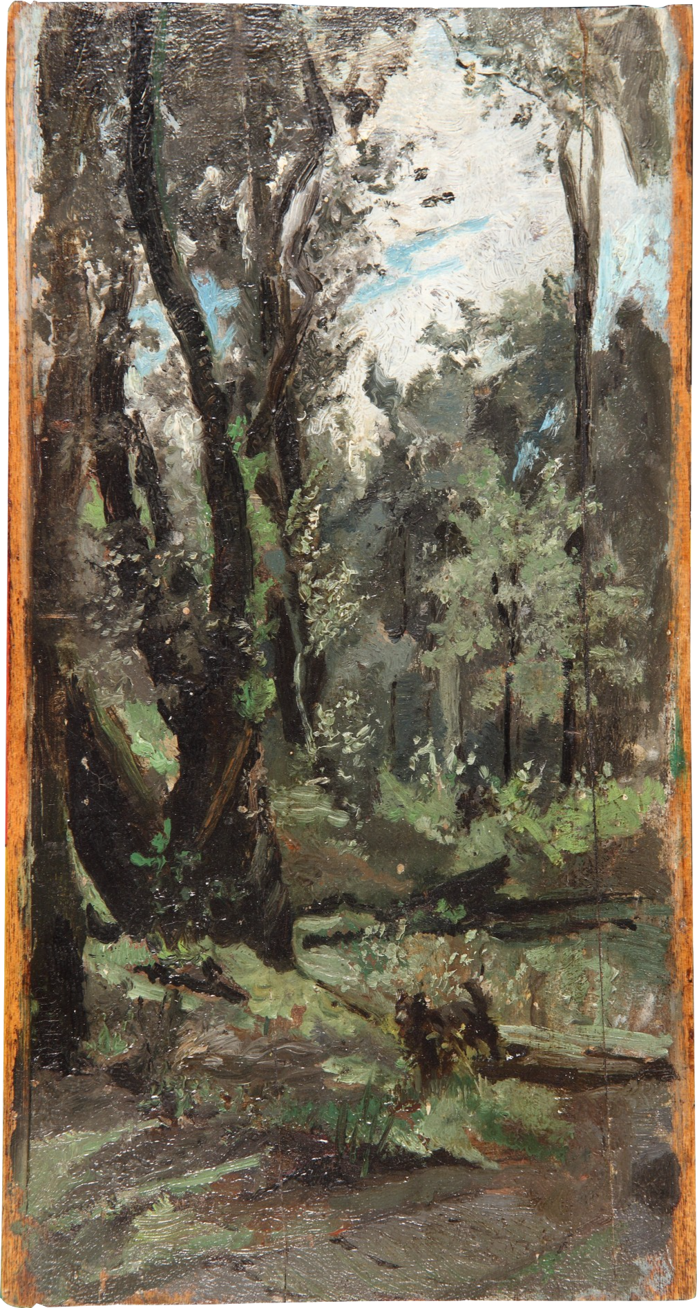 Michele Pietro Cammarano. Forest