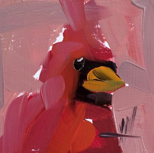 Angela Moulton. Red cardinal