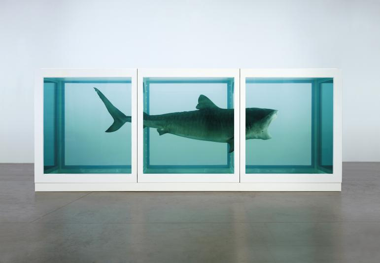 Damien Hirst L'impossibilité physique de la mort dans l'esprit des vivants, 1991, 542×217×180 cm 