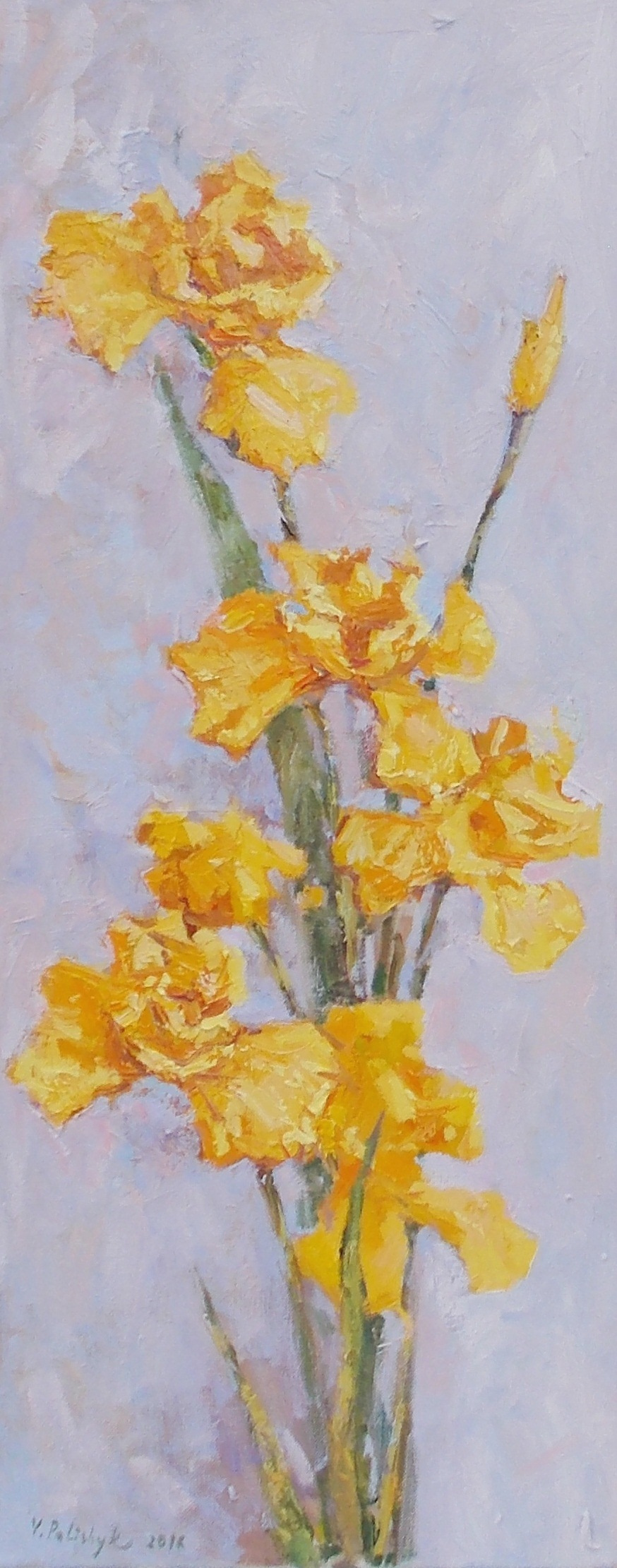 Vladislav Valentinovna Turskaya (Polishchuk). Yellow iris