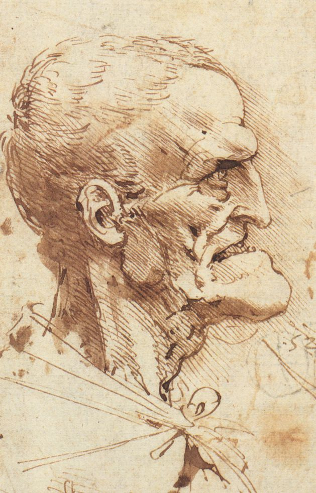 Leonardo da Vinci Grotesque profile, 1487: Descripción de la obra | Arthive