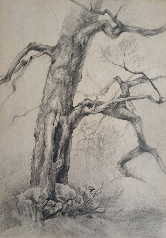 Нелли Валентиновна Григорьева. Old tree