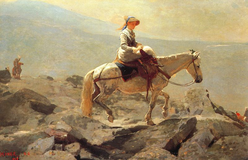 Winslow Homer. Horse, White mountains
