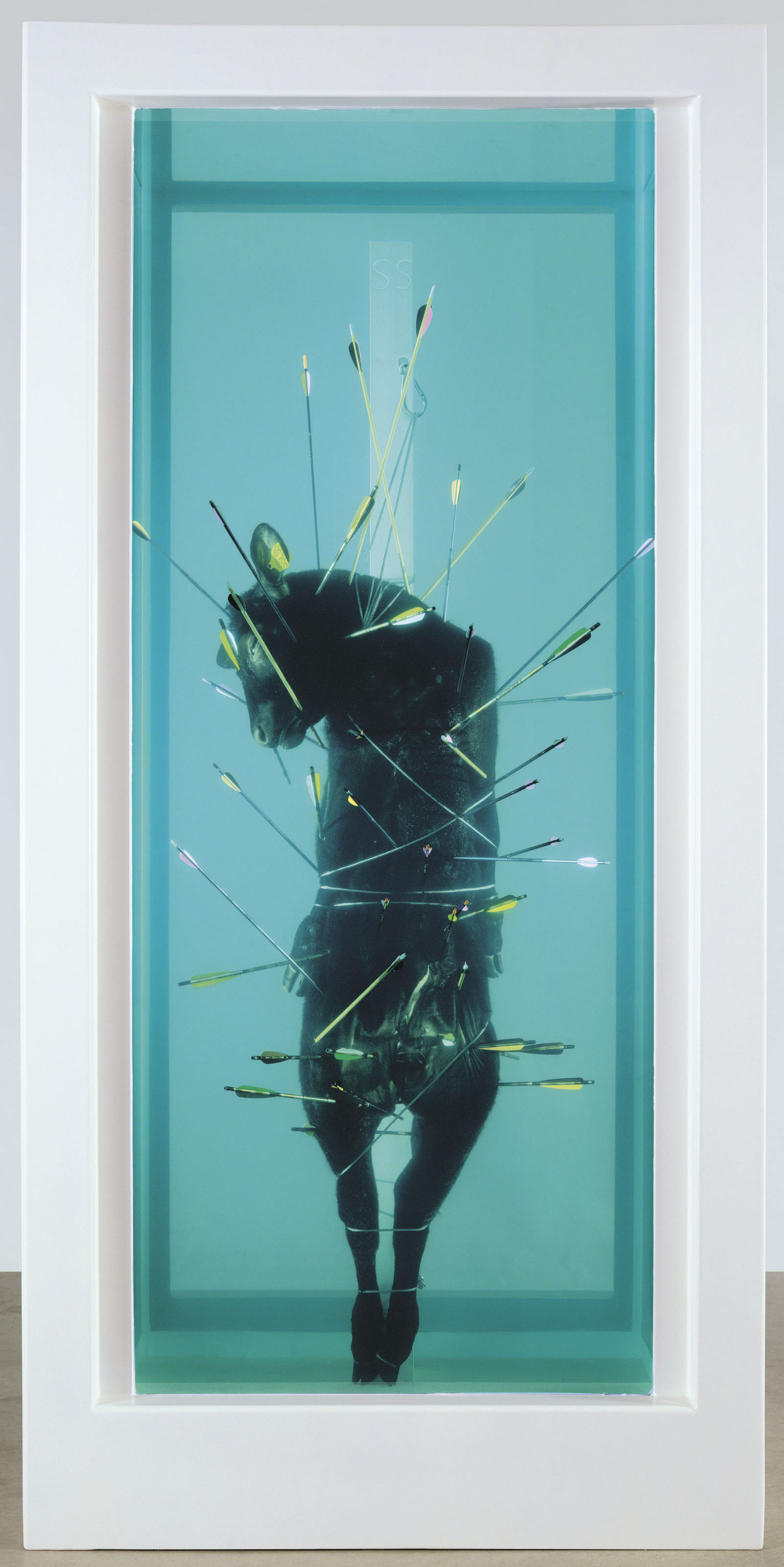 saint-sebastian-exquisite-pain-2007-156-322-156-cm-by-damien-hirst