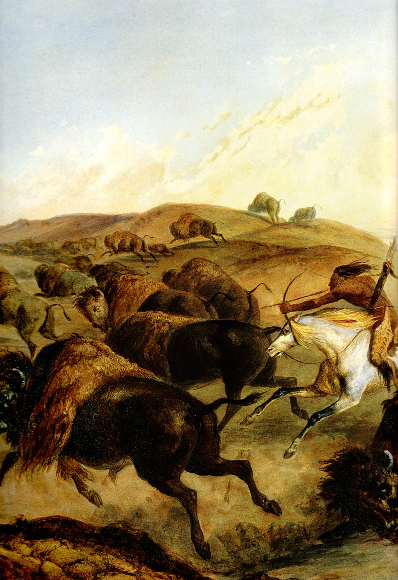 Индейцы охотятся на бизонов. Charles Bodmer indians 1832.