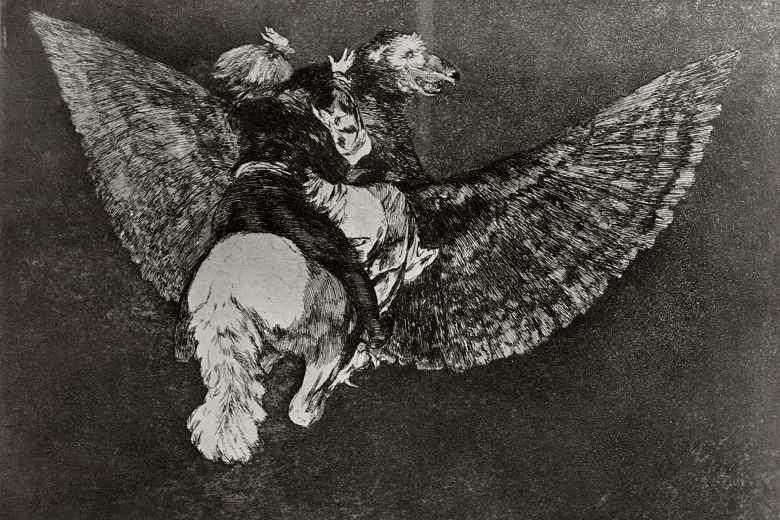 Francisco Goya. A series of "Disparates" worksheet 05: the Flying stupidity