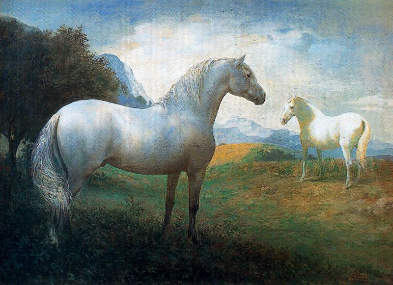Jose Manuel Gomez. White horse