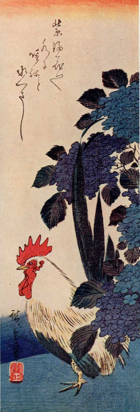 Utagawa Hiroshige. Cock and hydrangea. Series "Birds and flowers"