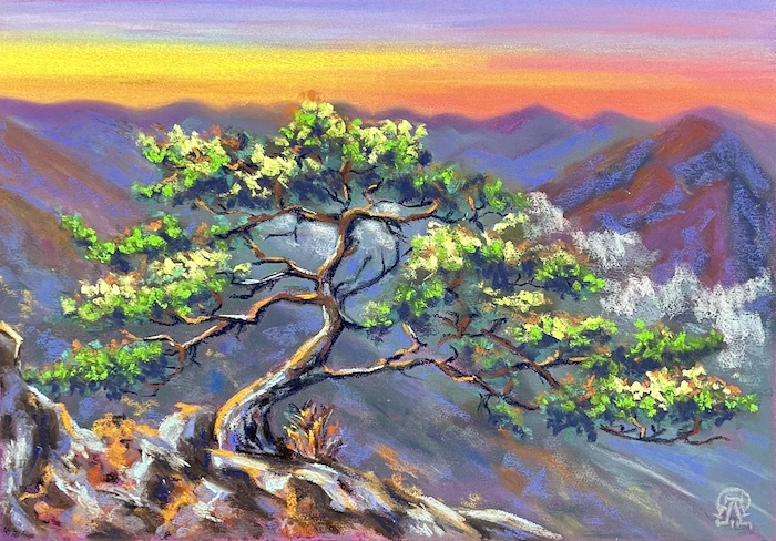 Larissa Lukaneva. A pine tree at sunset