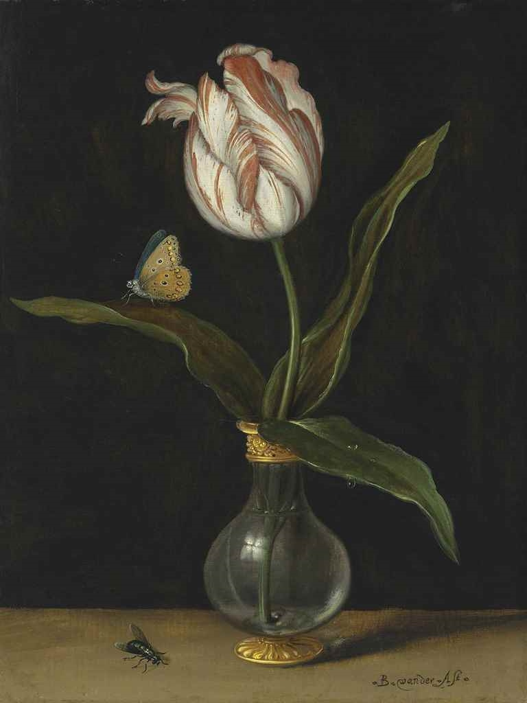 tulip still life paintings