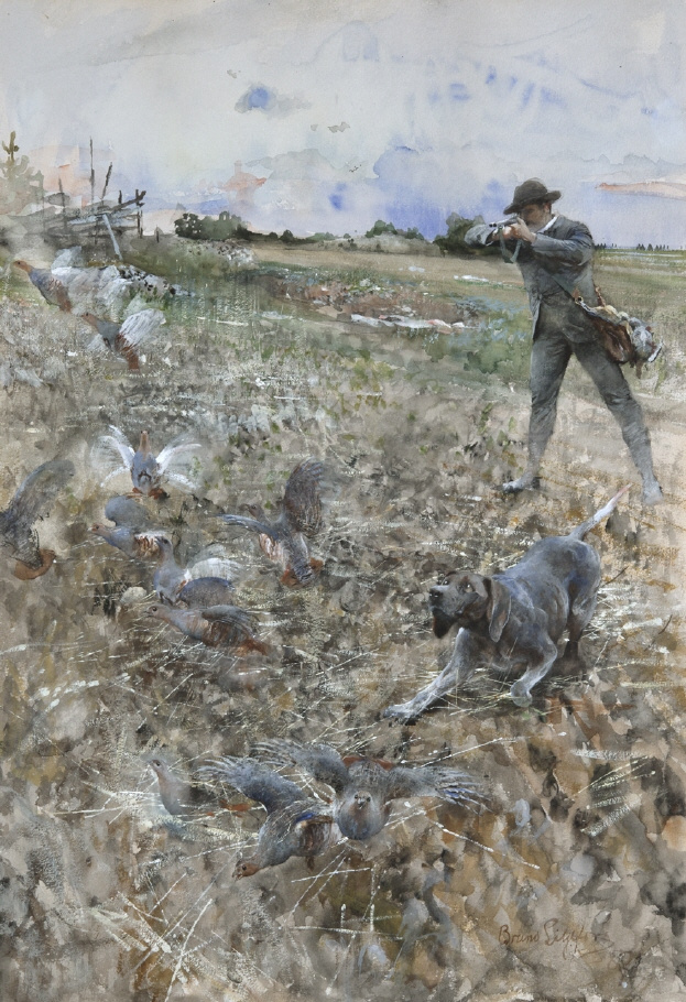 Bruno Liljefors. Hunt quail