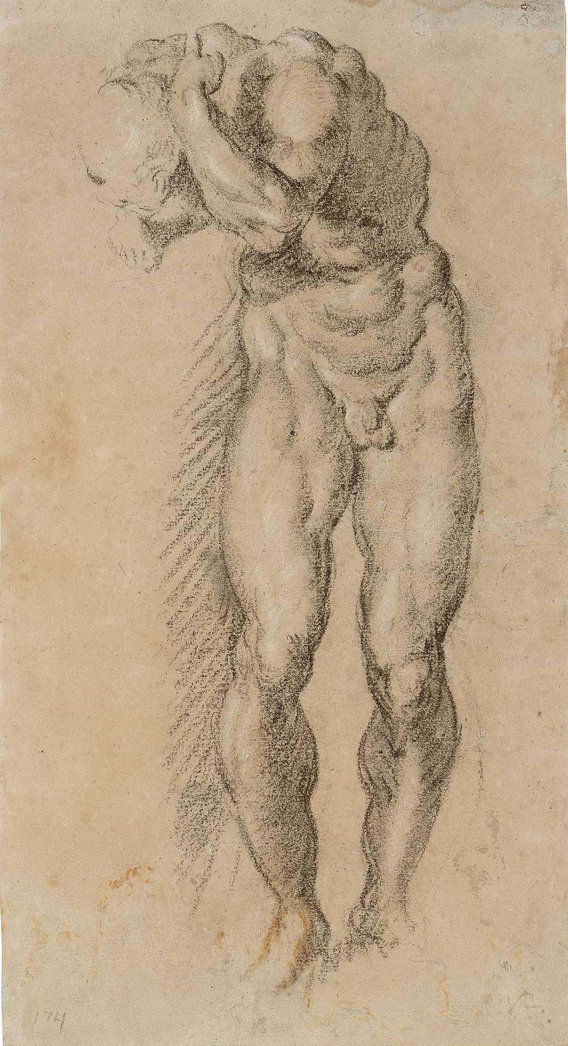 Jacopo (Robusti) Tintoretto. Study of a Male Nude