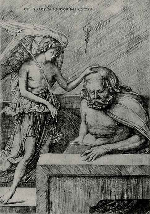 Jacopo de Barbary. The guardian angel