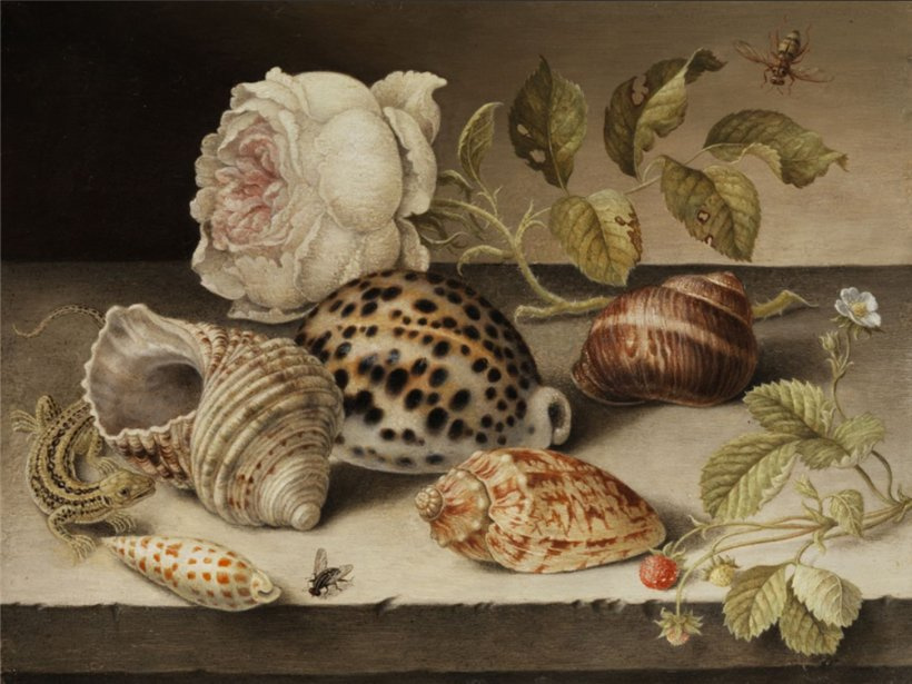 Балтазар ван дер Аст. Натюрморт с розой, ящерицей, земляникой и раковинами