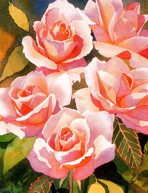 Kimberly Montgomery. Roses