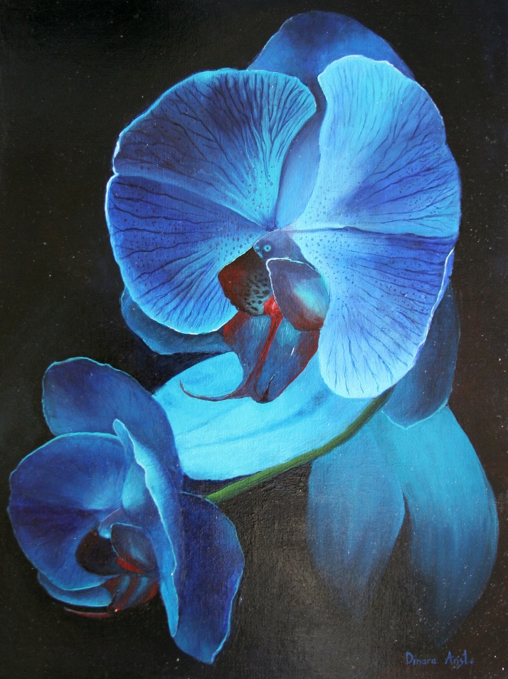 Dinara Aristo. Blue Orchid