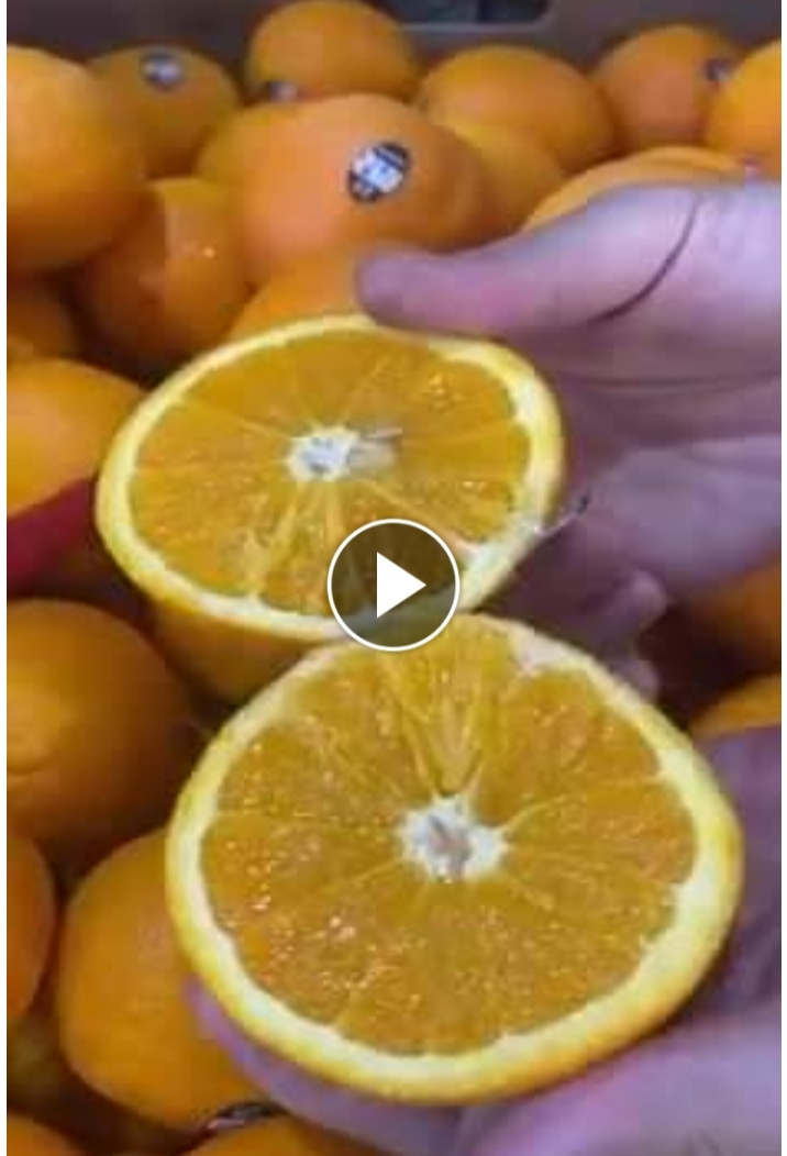 Ariunzaya Gansvh. Oranges