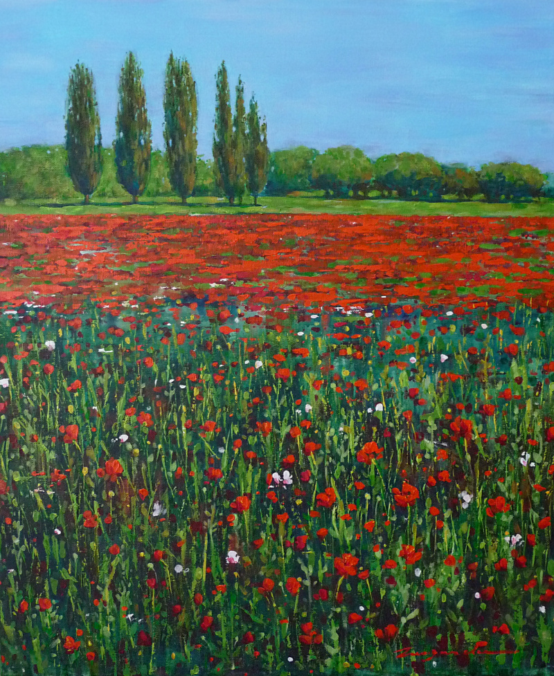 Poppy field картина