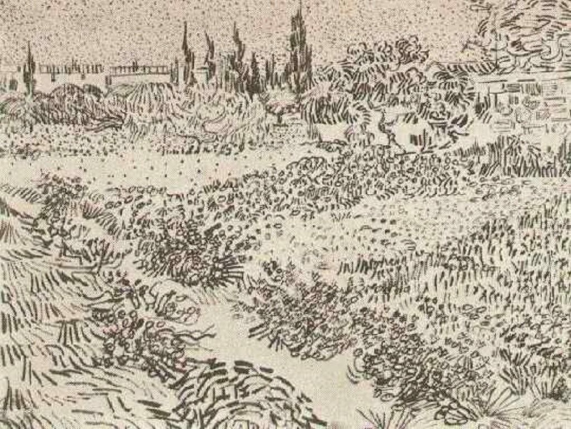 Garden with flowers by Vincent van Gogh: History, Analysis & Facts