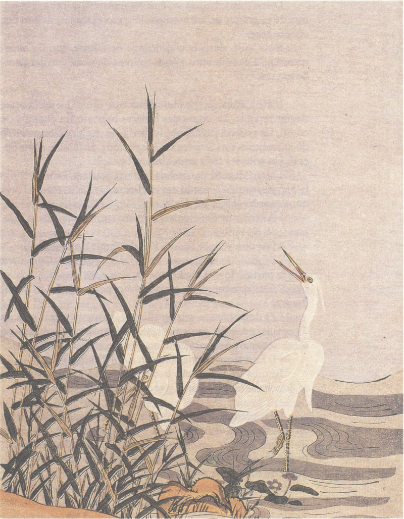 Судзуки Харунобу- “Цапли и тростник”