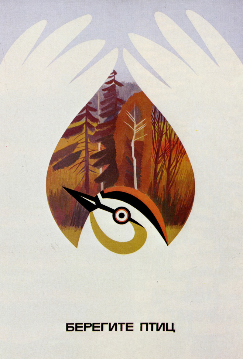 Каракашев в. с. плакат «берегите птиц». 1978