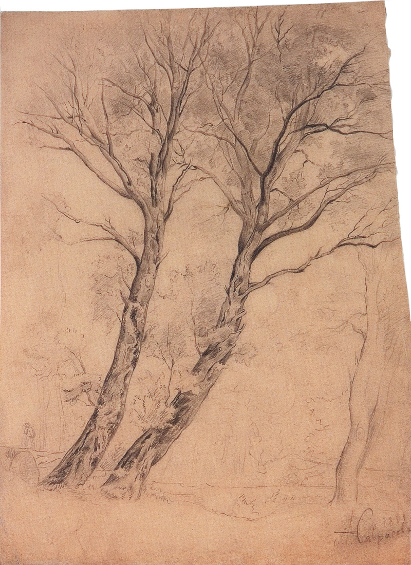 Саврасов зарисовки деревьев