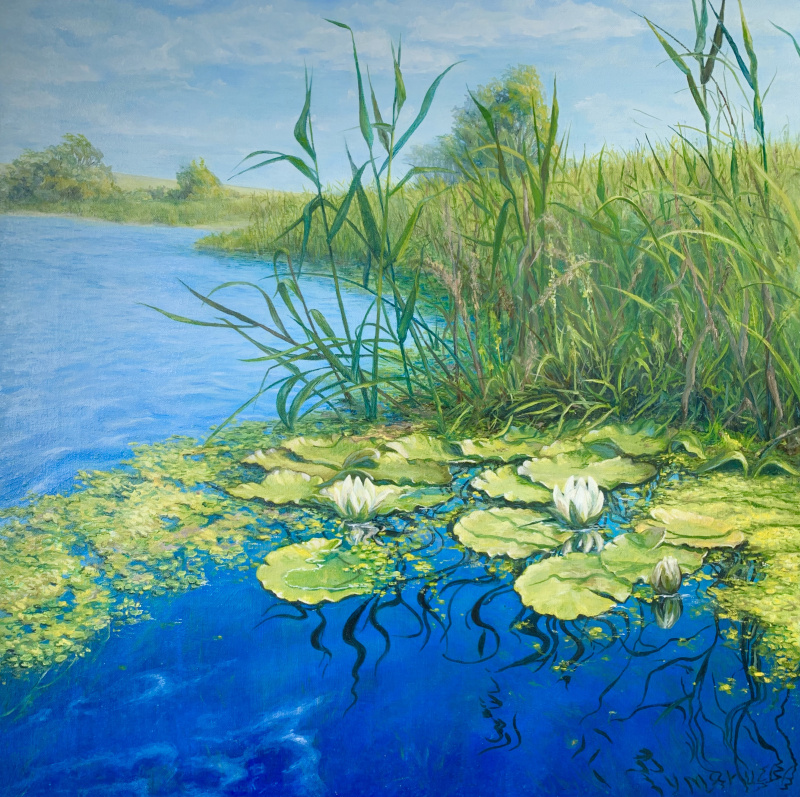 Рисунок озеро с кувшинками