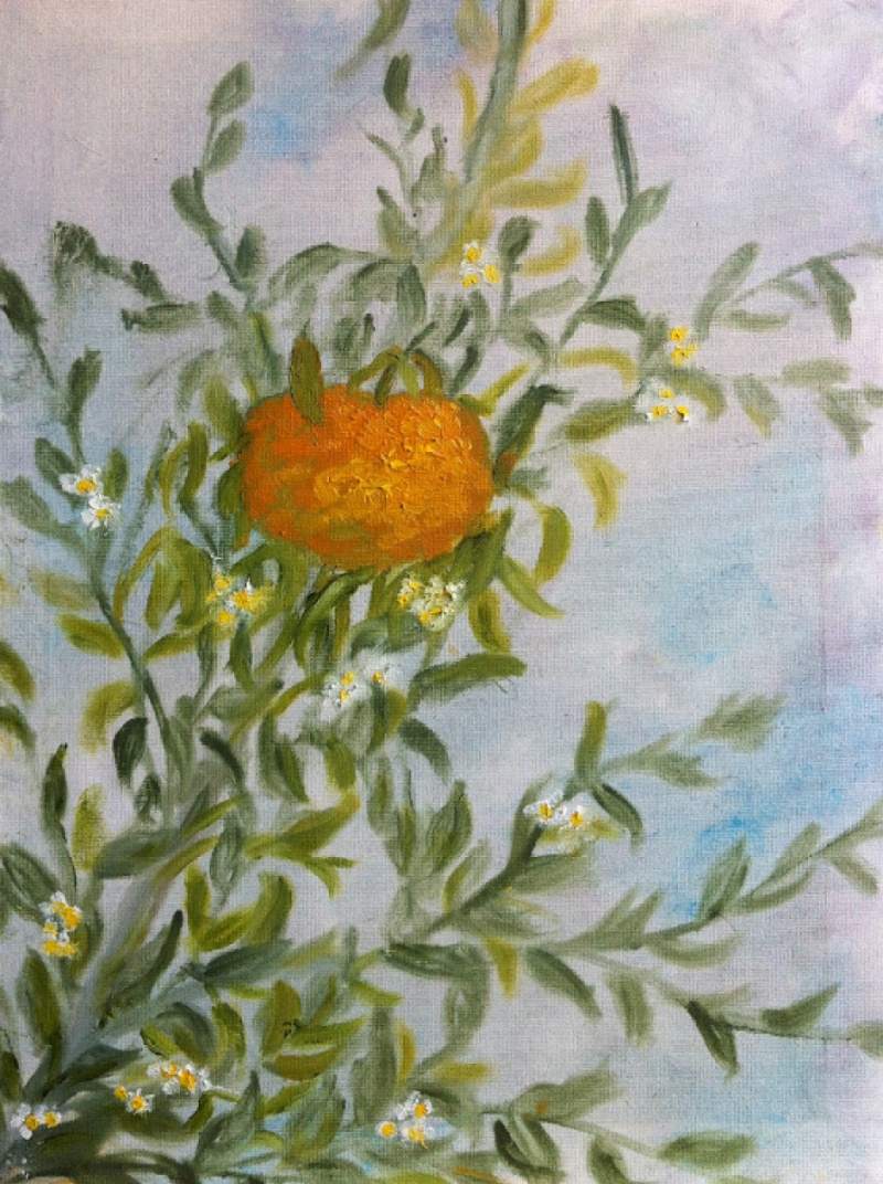 Мандарин 35. Цветущий мандарин свиток.