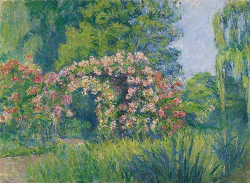 monet rose garden painting