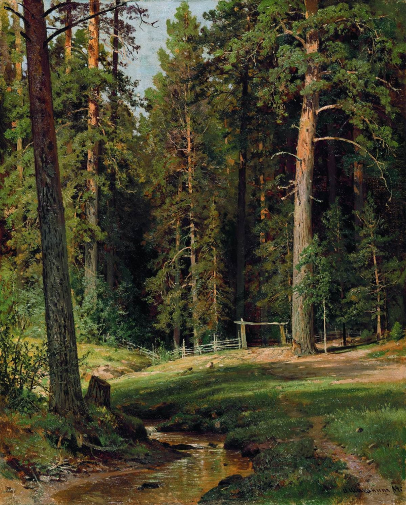 Шишкин и и Сосновый Бор мачтовый лес в Вятской губернии 1872