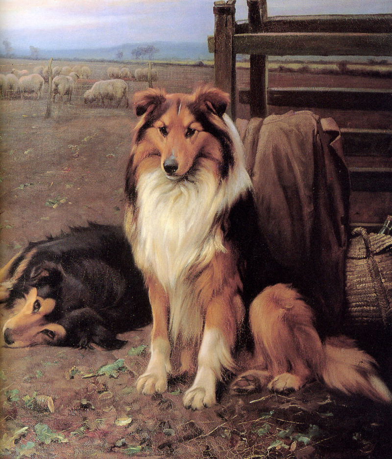 Wright barker картины