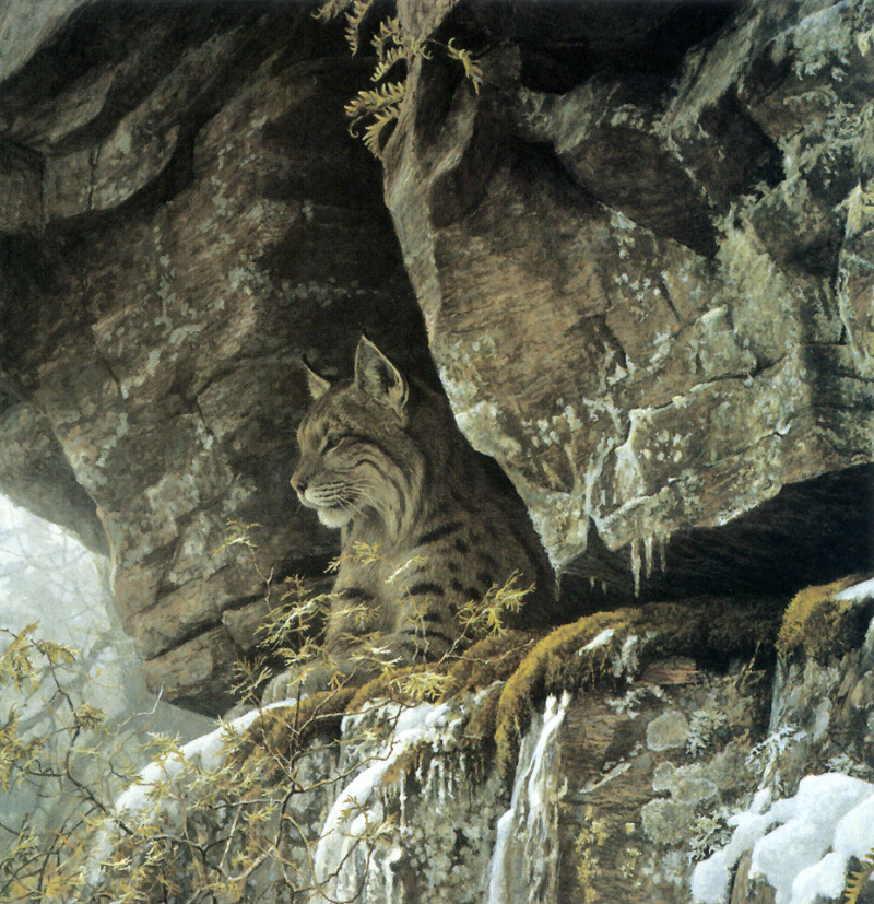 Роберт бейтман фото