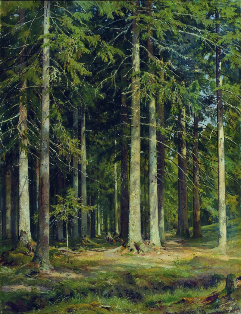 Иван Шишкин - еловый лес 1890