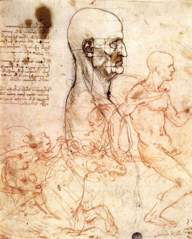 Анатомические зарисовки Леонардо да Винчи