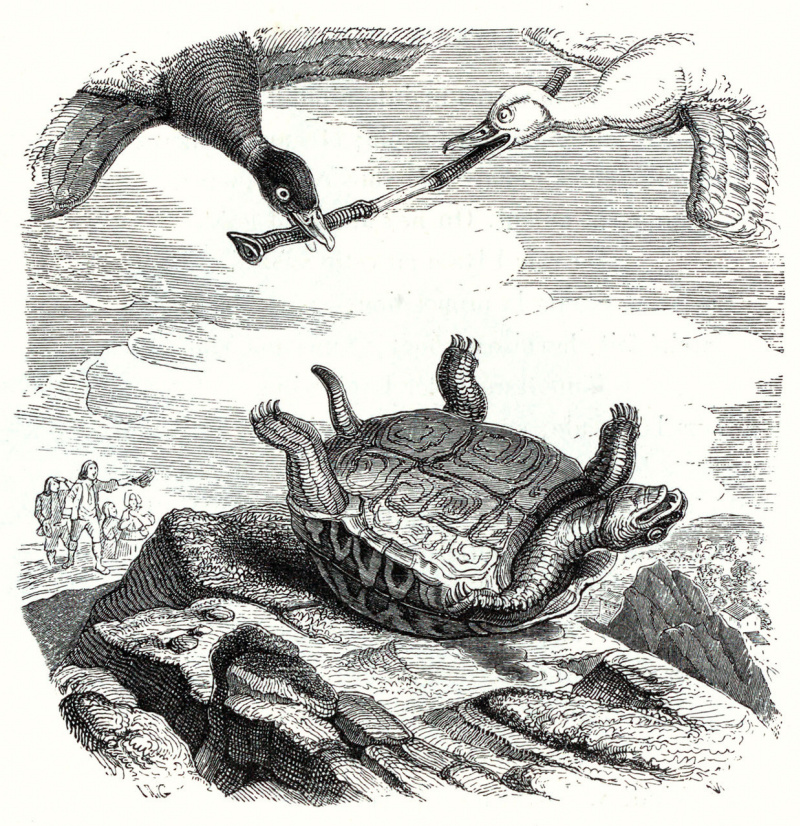 Jean Inias Isidore Gerard Granville Deux Canards Et Une Tortue