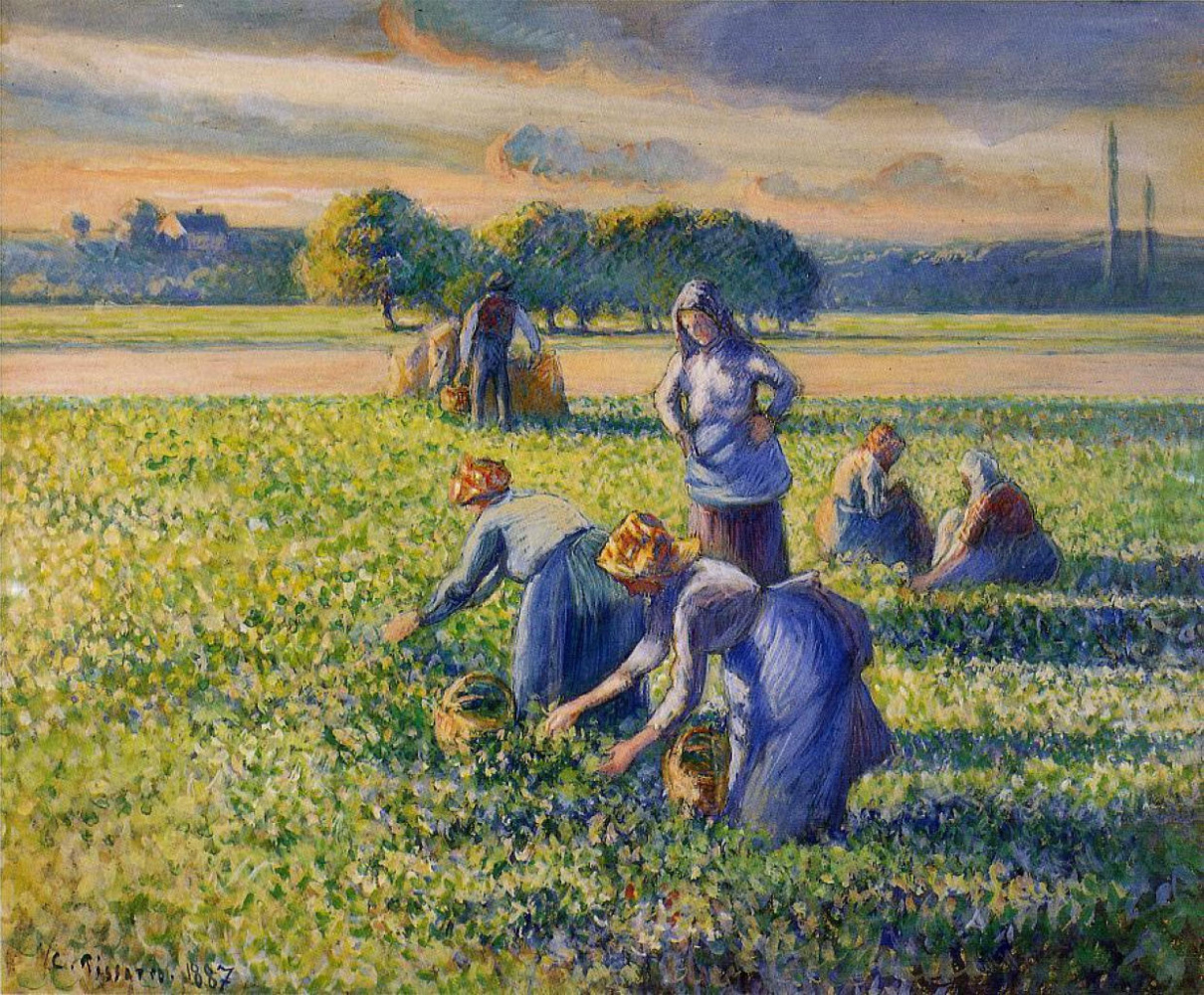 картинки на тему сбор урожая