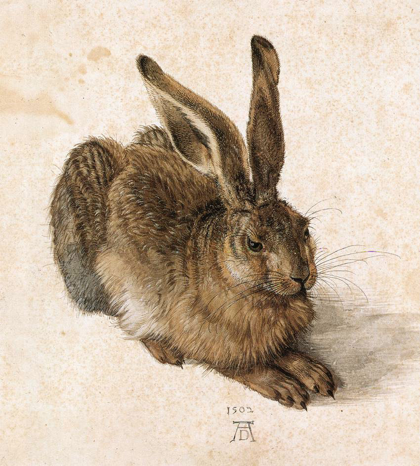 Retrospective of Dürer in Vienna: “The Young Hare”, “Praying Hands” and self-portraits take centre stage Retrospective of Dürer in Vienna: “The Young Hare”, “Praying Hands” and self-portraits take centre stage