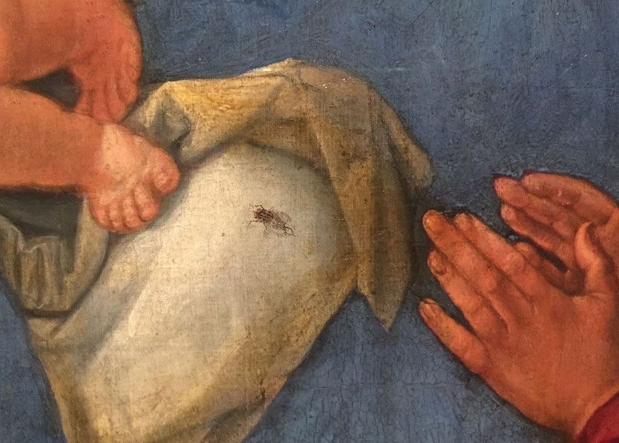 Странная деталь: на картине Дюрера есть муха, которая озадачила экспертов