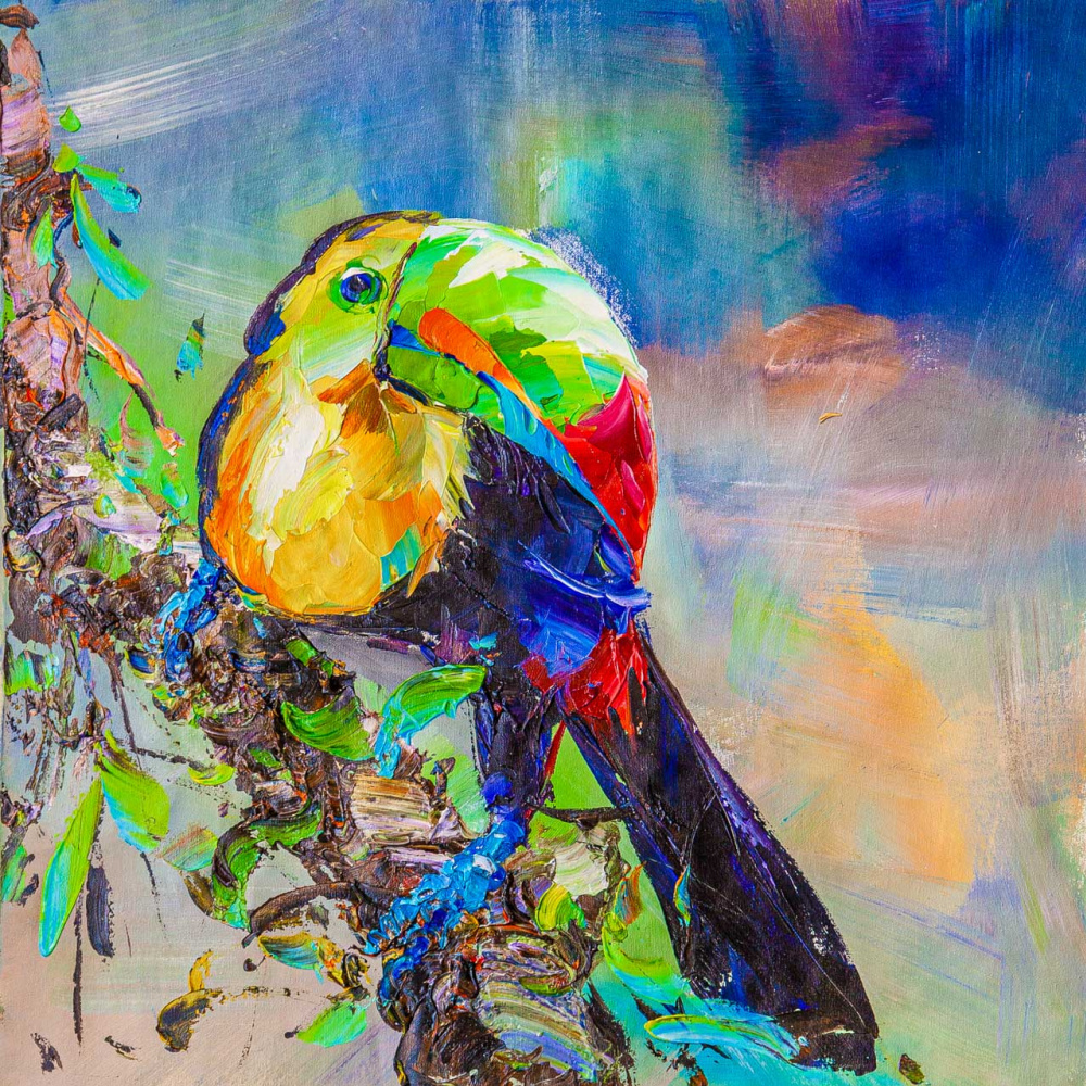 Jose Rodriguez. It's all about beauty. Toucan N3