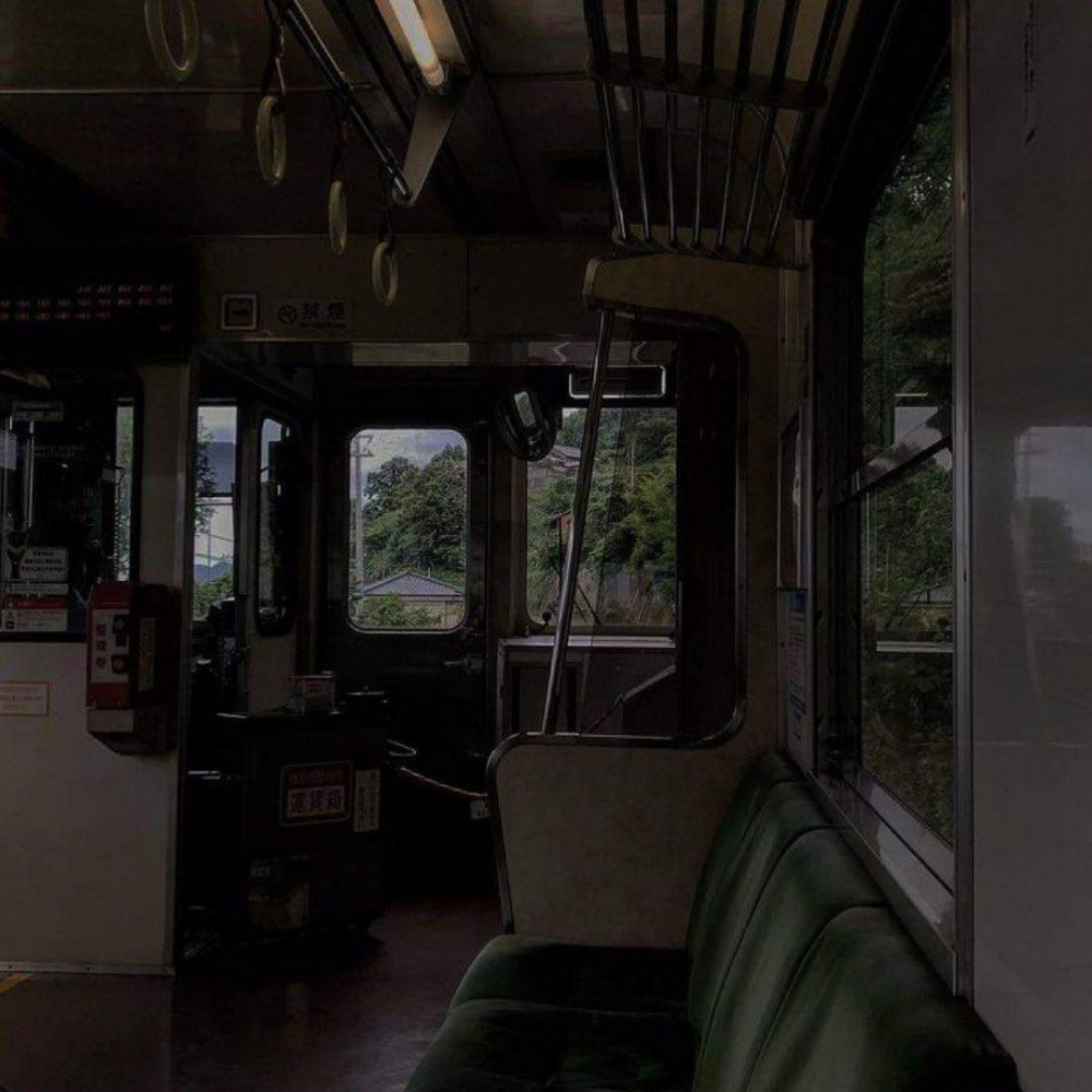 Hasan Origana. The inside of the train of 2014