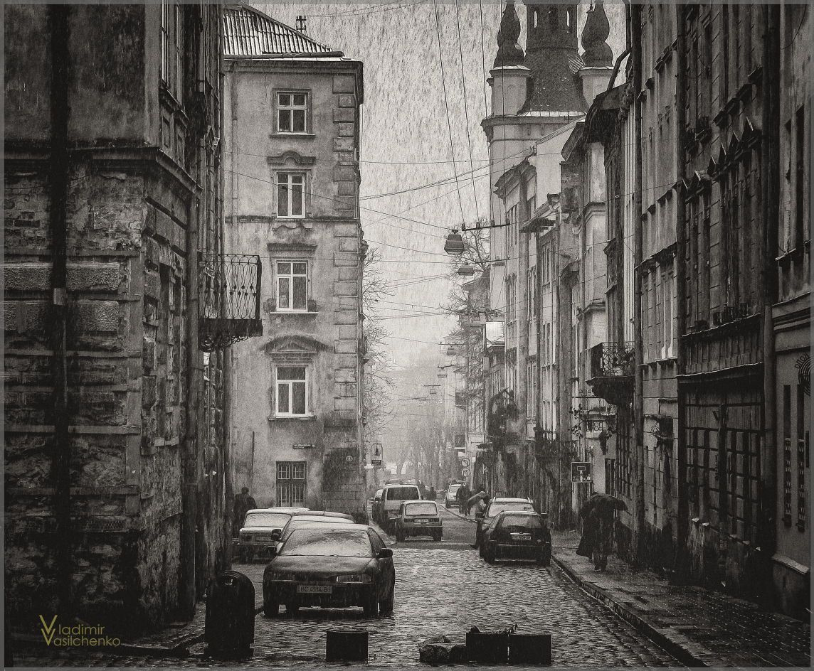 Vladimir vasilchenko. Lions. Armenian Street