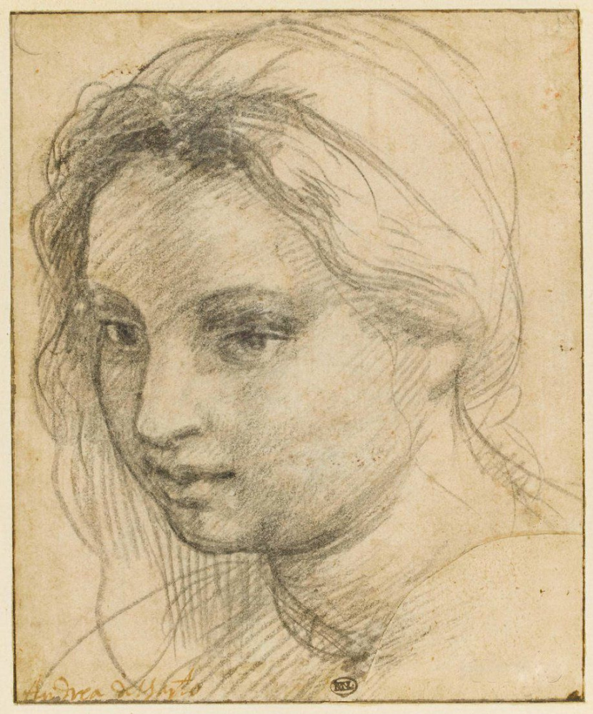 Andrea del Sarto. Sketch of a female head